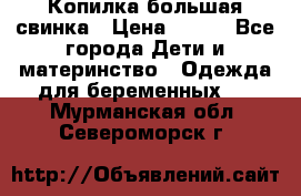 Копилка большая свинка › Цена ­ 300 - Все города Дети и материнство » Одежда для беременных   . Мурманская обл.,Североморск г.